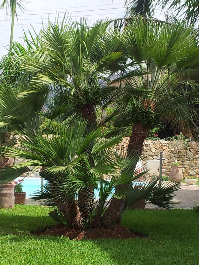 Manzella Piscina Privata * Cinisi